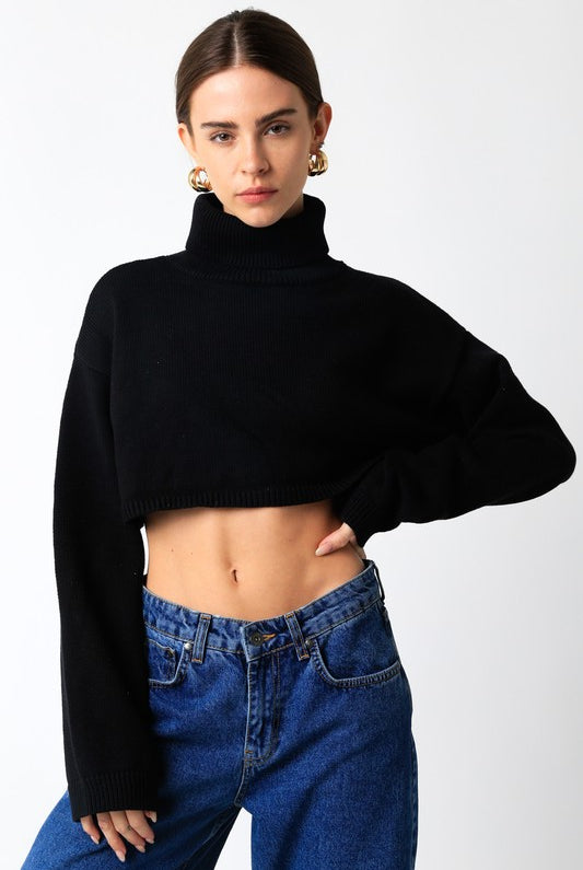 Black Cropped Turtleneck