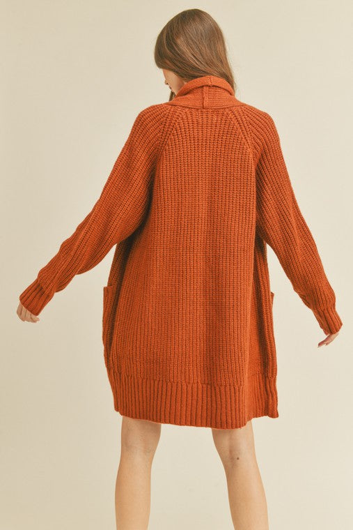  Chestnut Cardigan Sweater