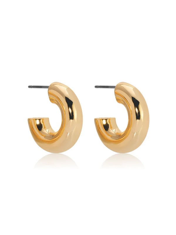 Small Gold Hoops 